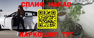 ешки Дубна