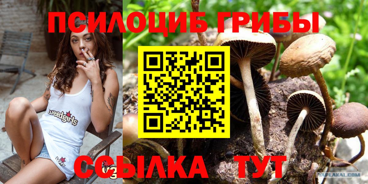 Мыски  Галлюциногенные грибы прущие грибы  Псилоцибиновые грибы MAGIC MUSHROOMS  Вход с VPN 