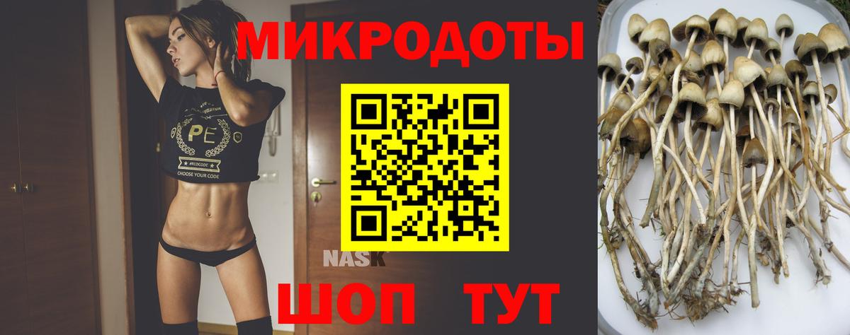 Галлюциногенные грибы ЛСД Мыски